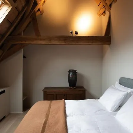 Stately 16-person Manor Farm In South Limburg , Cleaning Included Holiday home
