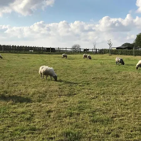 Stately 16-person Manor Farm In South Limburg , Cleaning Included Schimmert