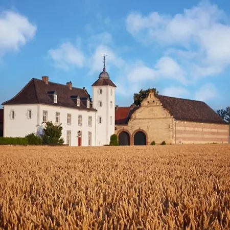 Stately 16-person Manor Farm In South Limburg , Cleaning Included Holiday home